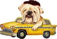 Taxi Dog 